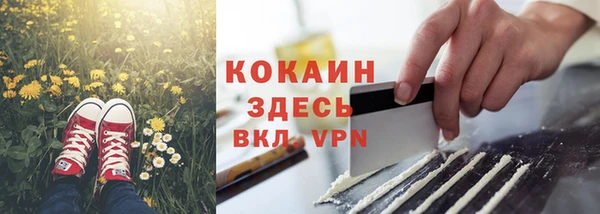экстази Арсеньев