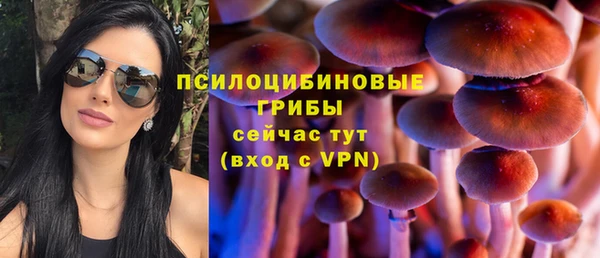 экстази Арсеньев