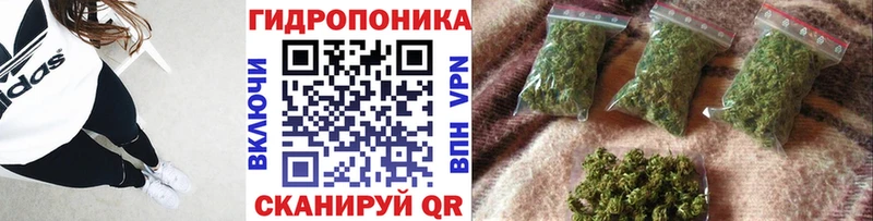 Купить Советская Гавань Конопля SATIVA & INDICA